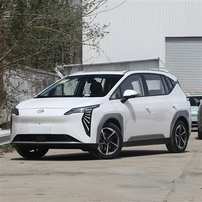 Electric ieftin